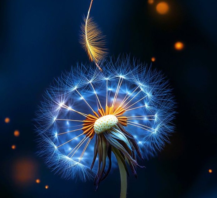 PMA, Sophrologie et Soins Énergétiques : un accompagnement global pour vivre son parcours autrement PMA, Sophrologie et Soins Énergétiques : un accompagnement global pour vivre son parcours autrement